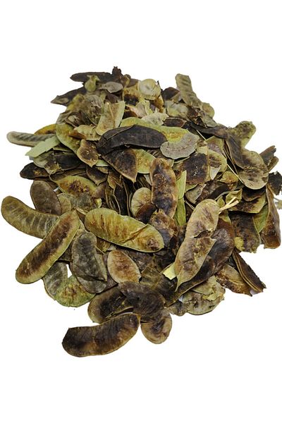 bitki diyarı Hunger Grass Pack 100gr