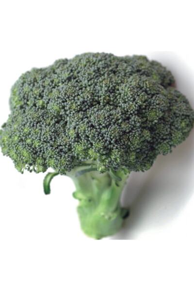 Karahasanoğlu Tarım Yerli Brokoli Tohumu 5 Gr Ort 1000 Ad Tohum