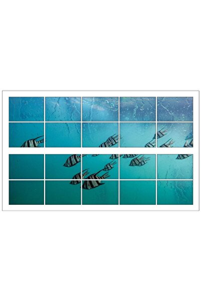renkselart Aquarium Fishes Seabed Wall Sticker