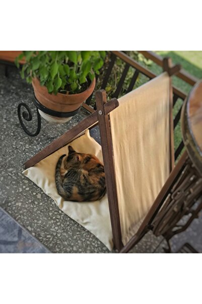 Ketu Kedi Evi