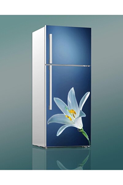 renkselart Buz Dolabı Beyaz Eşya Sticker 023