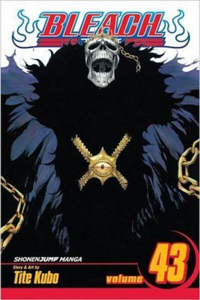 Arkadaş Yayıncılık Bleach 43