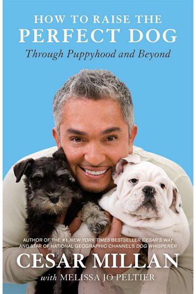Arkadaş Yayıncılık How To Raise The Perfect Dog