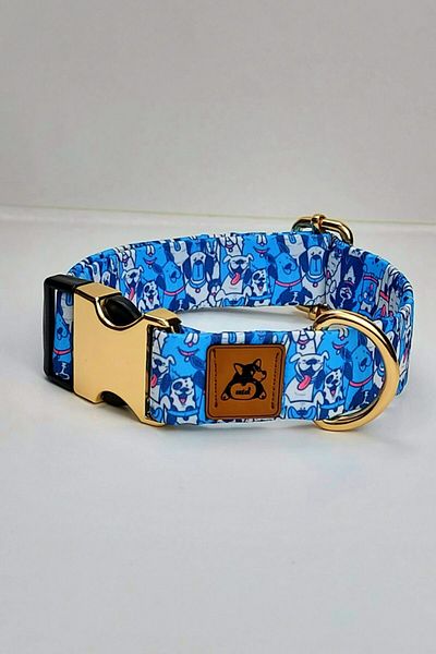UTDpet طوق الكلب Bluedoggy Midlite