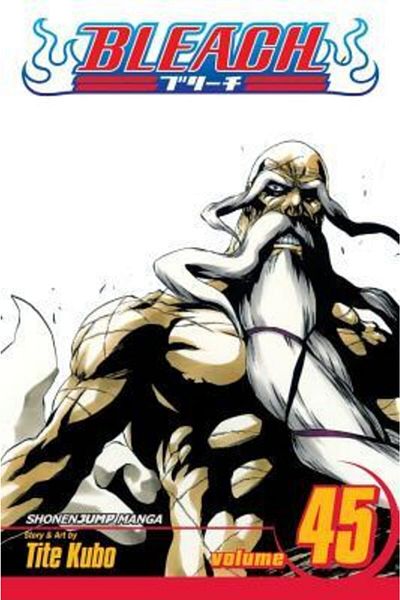 Arkadaş Yayıncılık Bleach 45