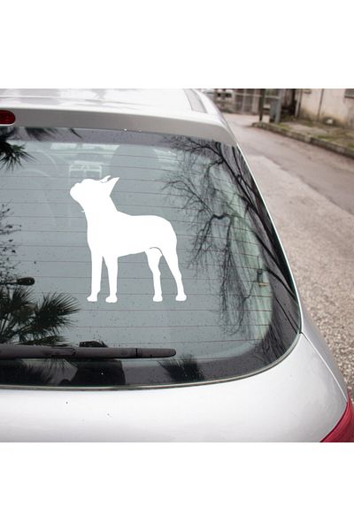 MIGNATIS Autocolant Pitpull Dog Etichetă 35cm - Alb