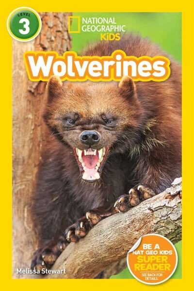 Arkadaş Yayıncılık National Geographic Readers: Wolverines (l3)