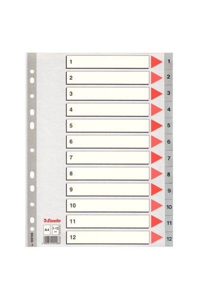 Esselte فاصل A4 عدد 1-12 Slt-100106