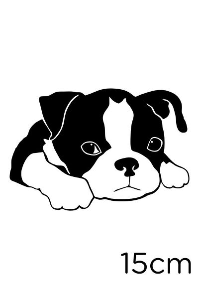 New Jargon Autocolant Little Boston Terrier Etichetă de pastă 15cm - Negru