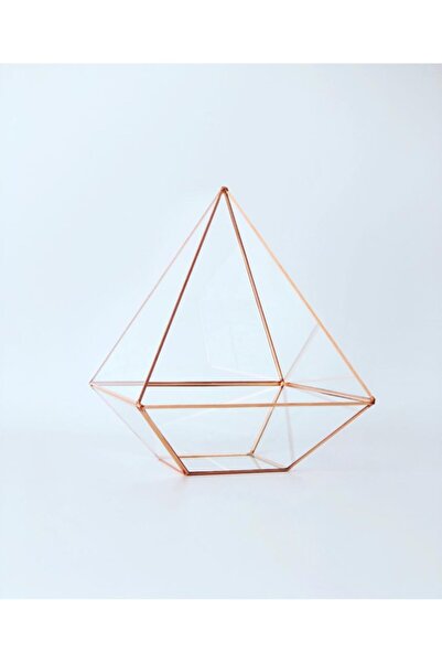 verteks Teraryum Cam Fanus