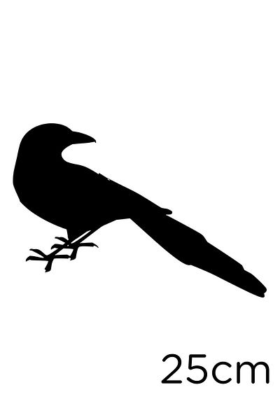New Jargon Autocolant Frumoasă Pasăre cu Coadă Lungă Privind înapoi 25cm - Negru
