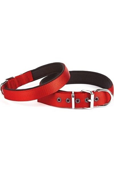 Lion Pet Köpek Tasması Soft Büyük Irklara Kırmızı 65 Cm 3 Cm Genişlik