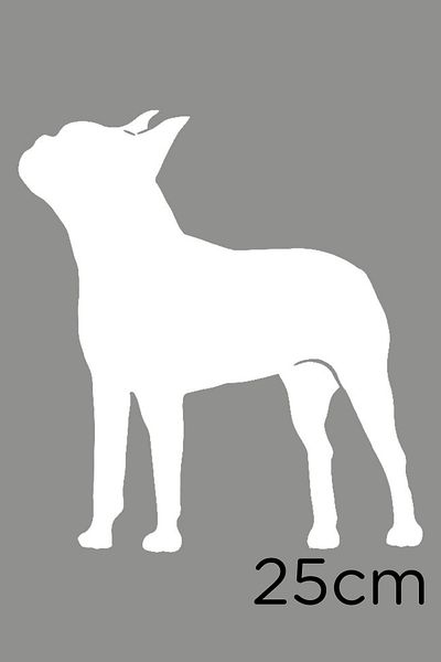 New Jargon Autocolant Pitpull Dog Etichetă 25cm - Alb