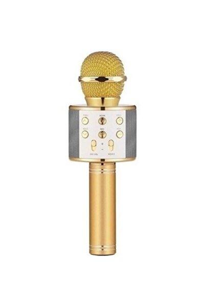 İstanbul Karaoke Mikrofon Handheld Ktv