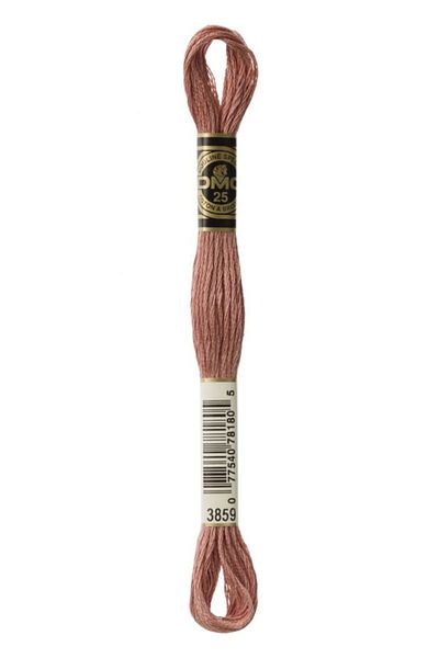 Dmc Muline Yarn 3859 2 Pieces