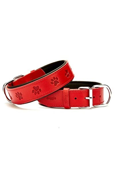 Doggie Comfort Deri Kemik Desenli Köpek Boyun Tasması Large Kırmızı 4x57-65 Cm