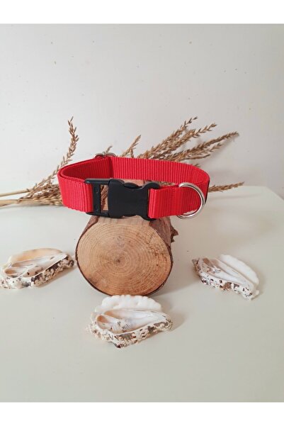 Loyal Friend Store Kırmızı Renk Köpek Boyun Tasması (45-60 Cm)