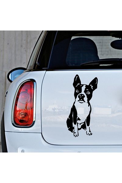 MIGNATIS Autocolant Boston Terrier Așezat Etichetă Lipire 45cm - Negru