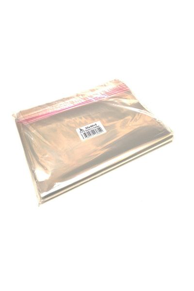 JokeyAmbalaj 100 Pieces (30X40 5) Opp Gelatin Taped Adhesive Nylon Bag