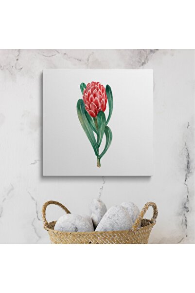 HOMEPACK Decor baie Canvas Print Hpb014