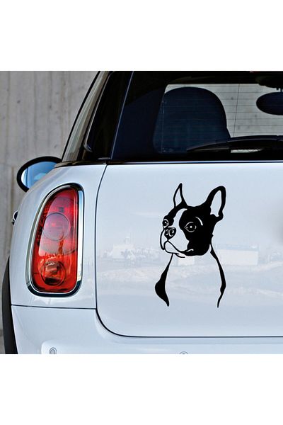 New Jargon Atenție Autocolant Boston Terrier Etichetă Lipire 35cm - Negru
