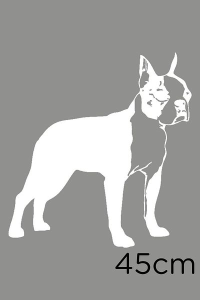 MIGNATIS Autocolant Boston Terrier Etichetă Pastă 45 Cm - Alb