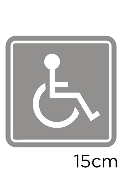New Jargon Disabled Car and Disabled Woman Car Sign Sticker 15cm - Gray