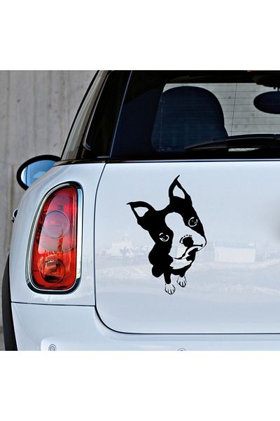 New Jargon Autocolant drăguț Boston Terrier Etichetă de pastă 35 cm - Negru