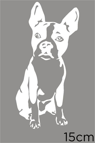 New Jargon Autocolant Boston Terrier Așezat Etichetă Lipire 15cm - Alb