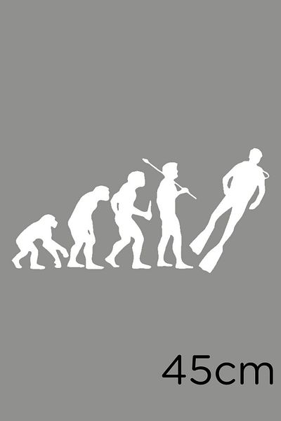 New Jargon Autocolant Evolution From Monkey To Diver 45cm - Alb