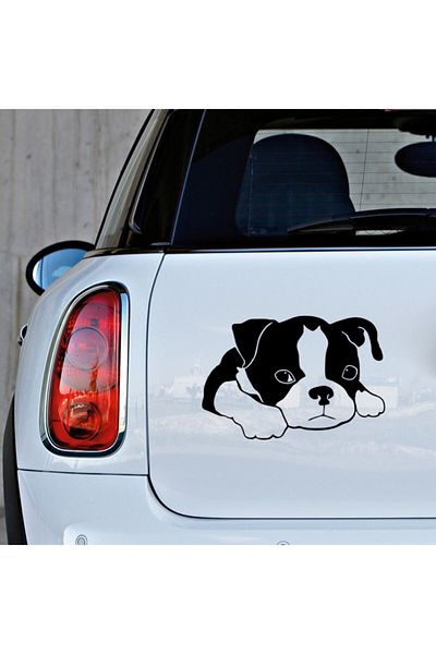 New Jargon Autocolant Little Boston Terrier Etichetă de pastă 45cm - Negru