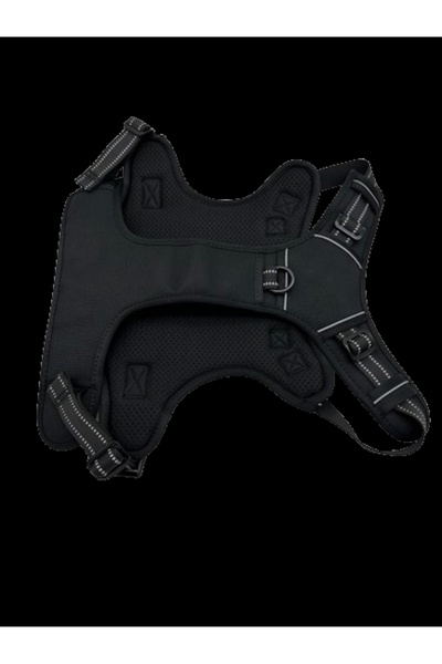 Mixpet Ayarlanabilir Büyük Irk Köpekler İçin Yürüyüş Eğitim Bel Tasması Large