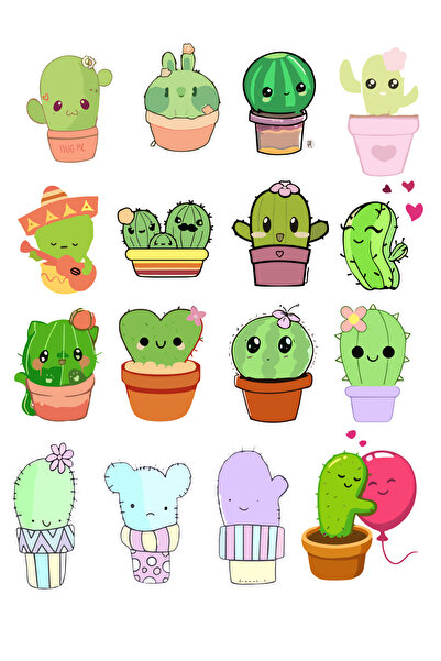 Belinay Bulutay Autocolant Cactus