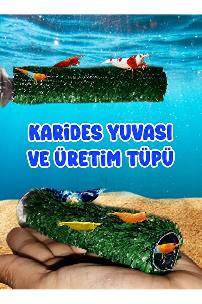 MDİZMİR Ayarlanabilir Karides Yuvası ve Üretim Tüpü MDizmir Petshop Karides Üretimi için Önerilir.