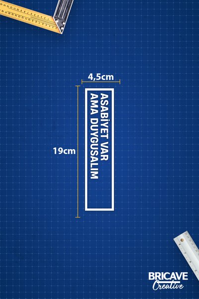 Bricave I Have Irritability But I'm Emotional Text JDM Car-Motorcycle Windshield Label Sticker 19x4,5cm