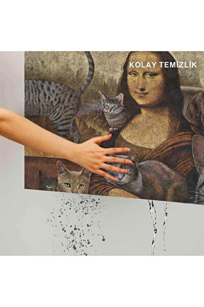 Monnhein Dekoratif Kapı Önü Paspası, Dış Mekan/ev Içi/ Kapı Paspasları (MONA LİSA)