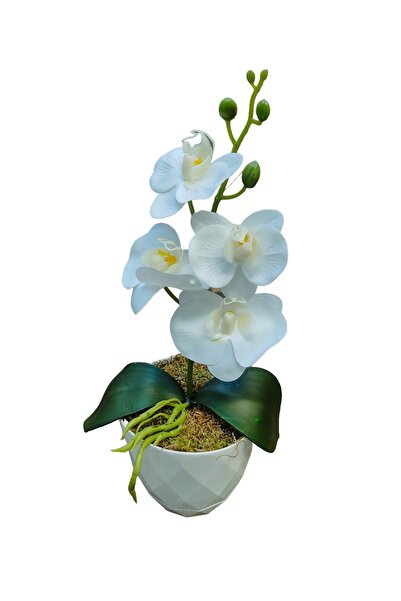 Cennet Home Islak orkide beyaz yakamoz saksıda küçük boy kaliteli yapay çiçek