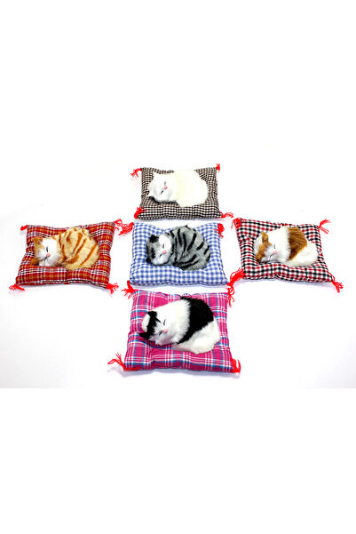 bayanflu Yastıkta Uyuyan Kedi Sesli Alk24