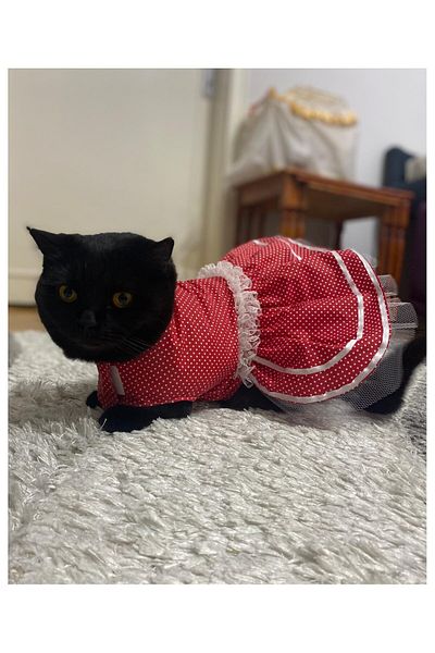 Gobo White Polka Dot Ribbon Red Female Cat Dog Outfit Dress