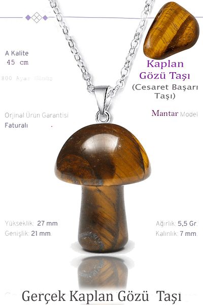 Tesbih Atölyesi Certified Mushroom Model Tiger Eye Stone Necklace - With Silver Device
