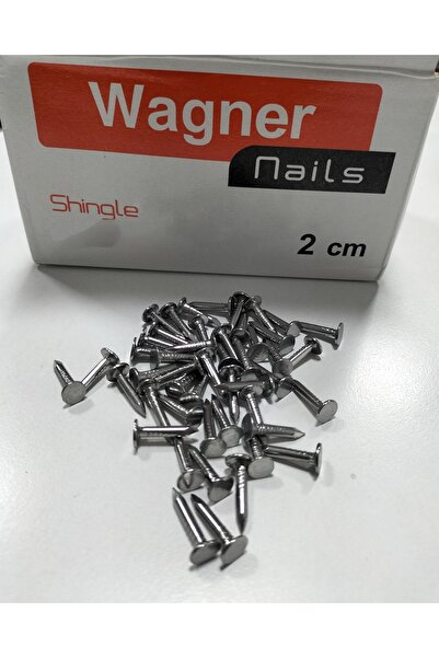 Wagner Şıngıl Çivisi Shingle Çivi Çatı Membran Çivi 2 Cm (500Gr)