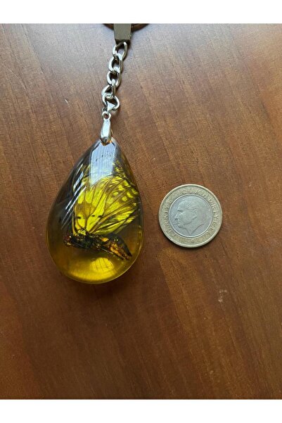 Gold Garden GERÇEK KELEBEK FOSİLLİ ANAHTARLIK