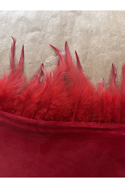 scyllastore Desiree Червоний Спеціальний дизайн Вельвет З пір'ям Стрічка Деталізований бюстгальтер