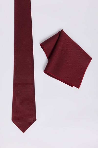 ALTINYILDIZ CLASSICS Cravată fără model burgundy pentru bărbați