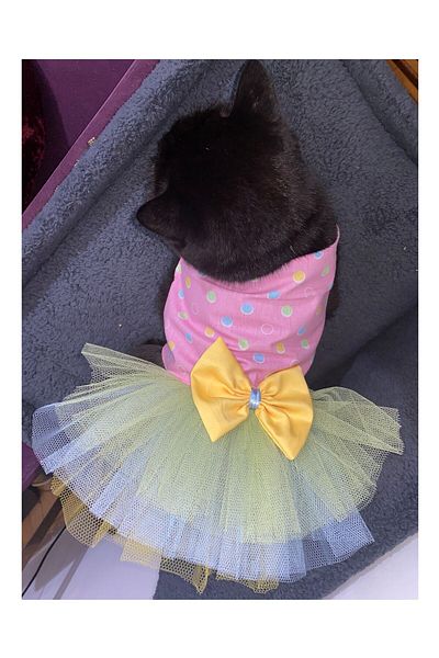 Gobo Pink Female Cat Dog Outfit Dress with Colorful Polka Dots and Yellow Bow Tie