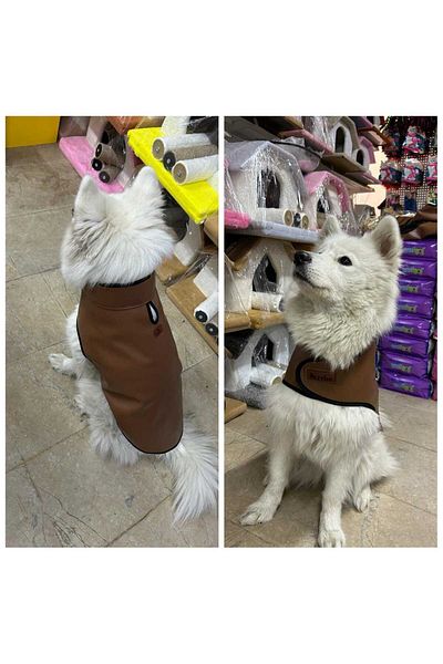 PRİZE Neo Pet Market Socket with Fleece Inside for Dogs, Size 8, Tan-Size Painting is in the Description Part