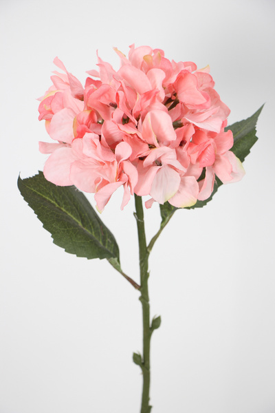 Yapay Çiçek Deposu Yapay Tek Dal Pastel Ortanca Dalı 58 cm Pembe Pembe