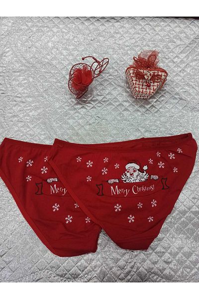Dr Bugy Kids New Year's Themed Red Panties 2 pcs