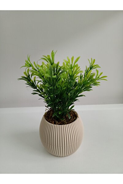 ViraHome زنبق أفريقي صناعي في وعاء بيج صغير مع زهرة طحالب حجرية لتزيين طاولة المطبخ والمكتب