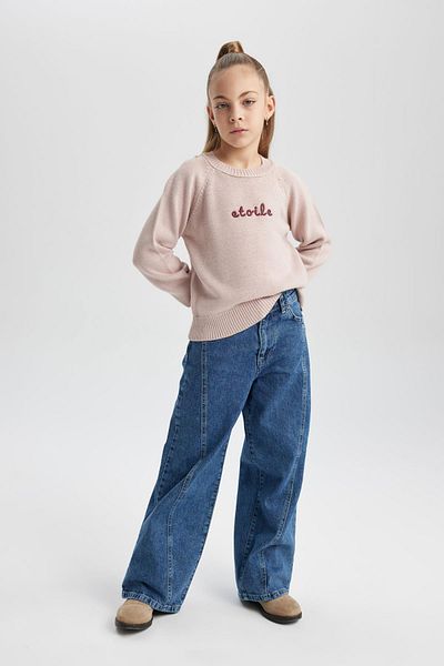 DeFacto Girl's Crew Neck Printed Knitwear Sweater B5894A823Wn